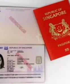 Singapore Passports Singapore Passport