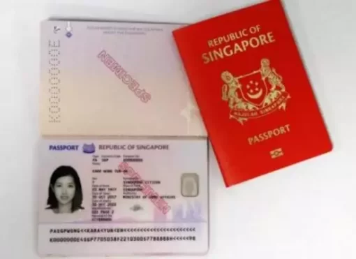 Singapore Passports Singapore Passport