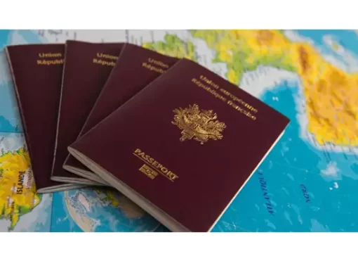 comment acheter un passeport francais French Passport, Fake french passport