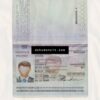 pasaportes españoles Spanish Passports